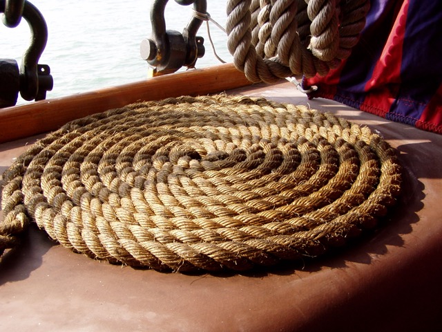 Amerigo Vespucci